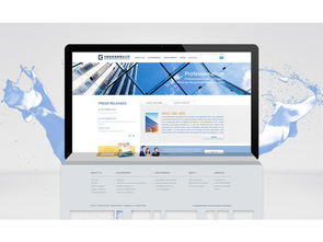 打造卓越商务形象 简洁风格网站与网页设计全解析